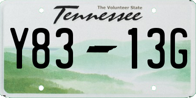 TN license plate Y8313G
