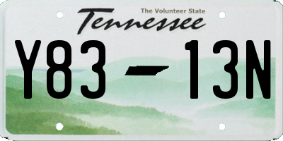 TN license plate Y8313N