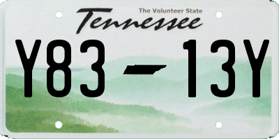 TN license plate Y8313Y