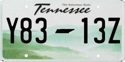 TN license plate Y8313Z