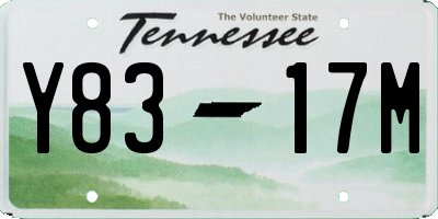 TN license plate Y8317M