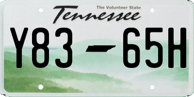 TN license plate Y8365H