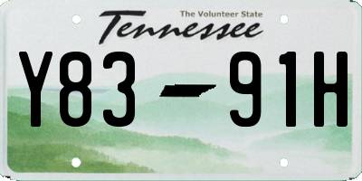 TN license plate Y8391H