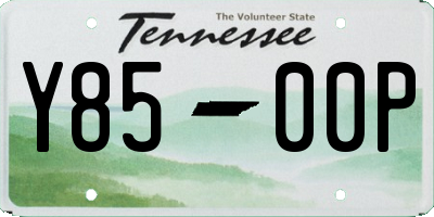 TN license plate Y8500P