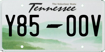 TN license plate Y8500V
