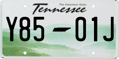 TN license plate Y8501J