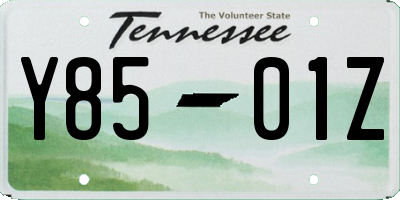 TN license plate Y8501Z