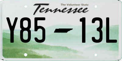 TN license plate Y8513L