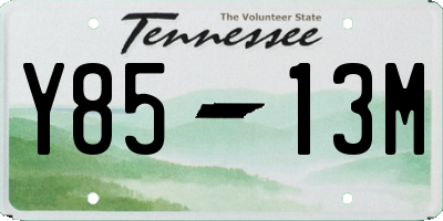 TN license plate Y8513M