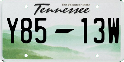 TN license plate Y8513W