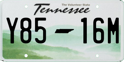 TN license plate Y8516M