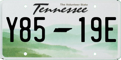 TN license plate Y8519E