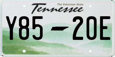 TN license plate Y8520E