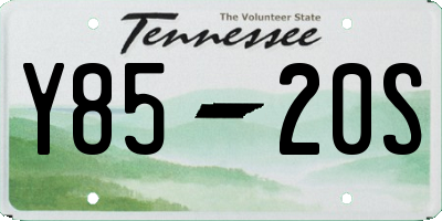 TN license plate Y8520S