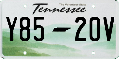 TN license plate Y8520V