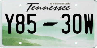 TN license plate Y8530W
