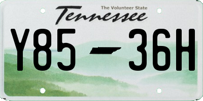 TN license plate Y8536H