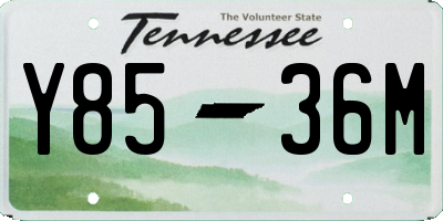TN license plate Y8536M
