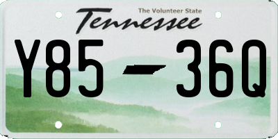 TN license plate Y8536Q
