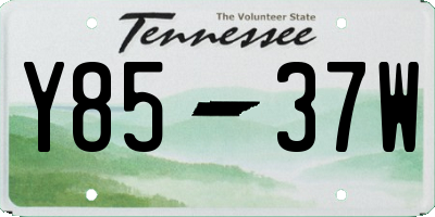 TN license plate Y8537W