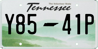 TN license plate Y8541P