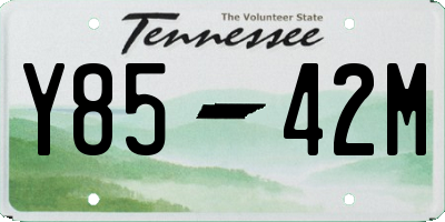 TN license plate Y8542M