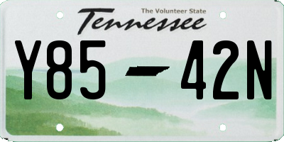 TN license plate Y8542N
