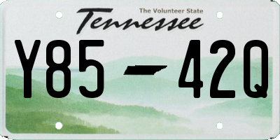 TN license plate Y8542Q