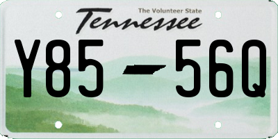 TN license plate Y8556Q