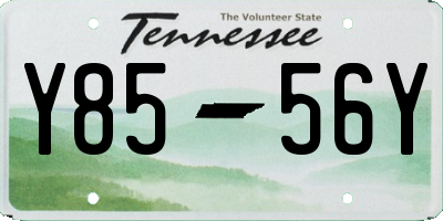 TN license plate Y8556Y
