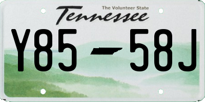 TN license plate Y8558J