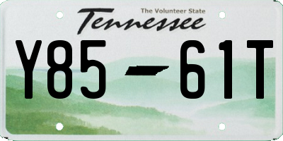 TN license plate Y8561T
