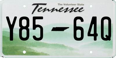 TN license plate Y8564Q