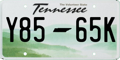 TN license plate Y8565K