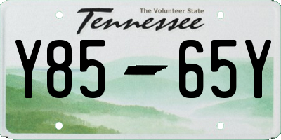 TN license plate Y8565Y