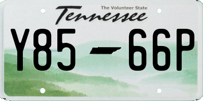 TN license plate Y8566P