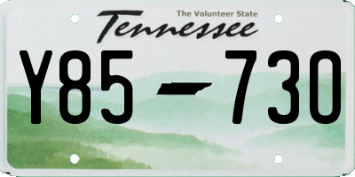 TN license plate Y8573O