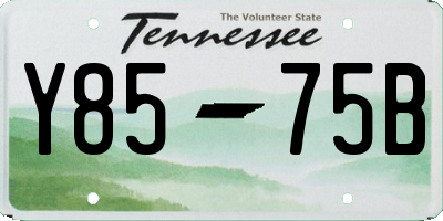 TN license plate Y8575B