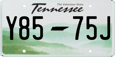 TN license plate Y8575J