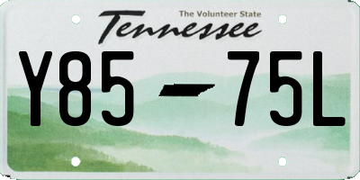 TN license plate Y8575L