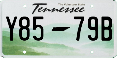 TN license plate Y8579B