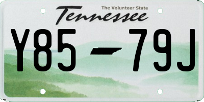 TN license plate Y8579J