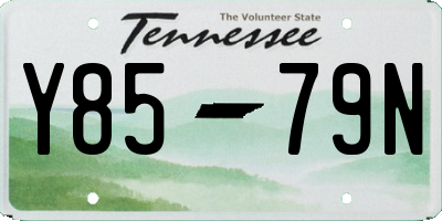 TN license plate Y8579N