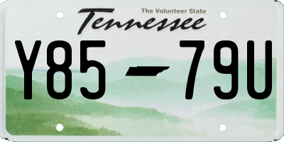 TN license plate Y8579U