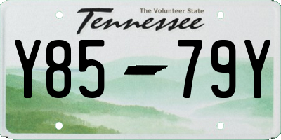 TN license plate Y8579Y