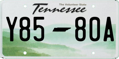 TN license plate Y8580A