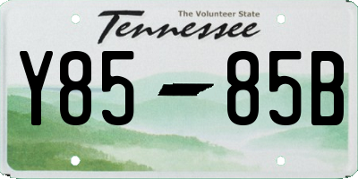 TN license plate Y8585B