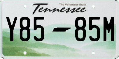 TN license plate Y8585M