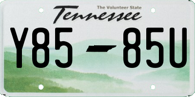 TN license plate Y8585U