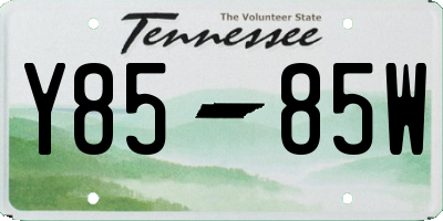 TN license plate Y8585W
